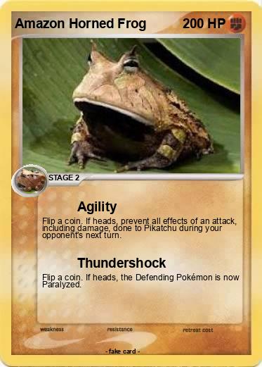 Pokemon Amazon Horned Frog
