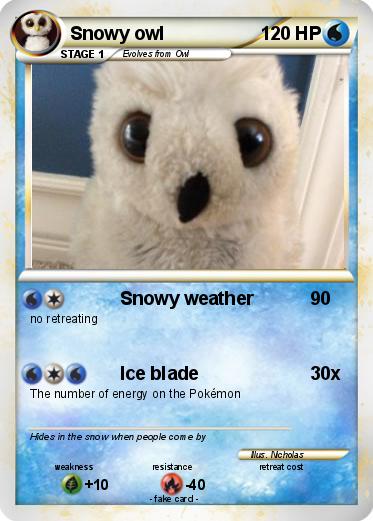 Pokemon Snowy owl