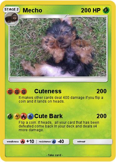 Pokemon Mecho