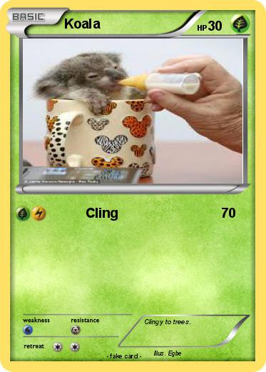Pokemon Koala