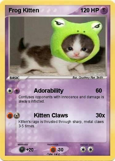 Pokemon Frog Kitten