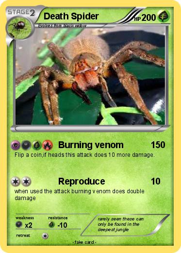 Pokemon Death Spider