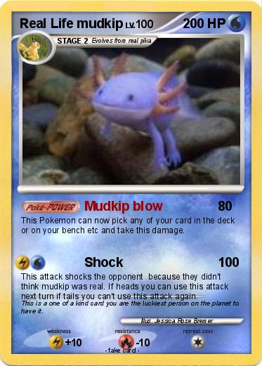 Pokemon Real Life mudkip