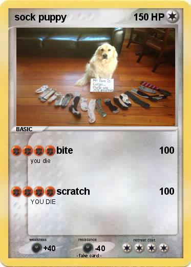 Pokemon sock puppy