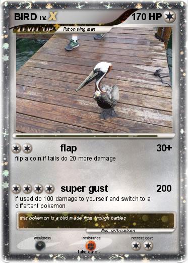 Pokemon BIRD Pokemon BIRD