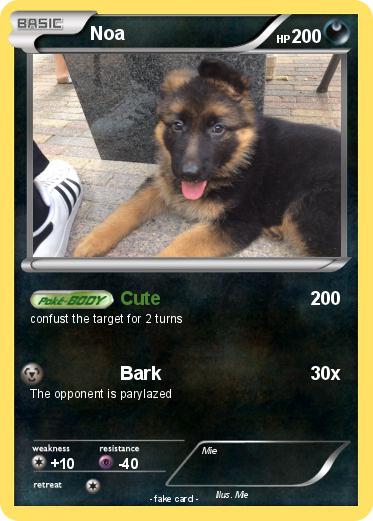Pokemon Noa