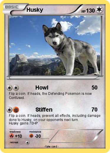 Pokemon Husky