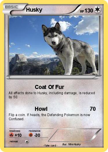 Pokemon Husky