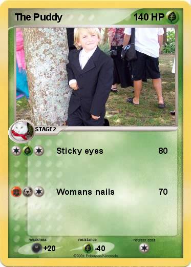 Pokemon The Puddy