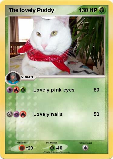 Pokemon The lovely Puddy