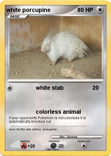 Pokemon white porcupine