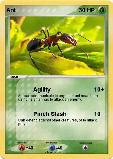 Pokemon Ant