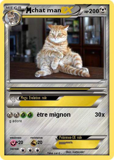 Pokemon chat man