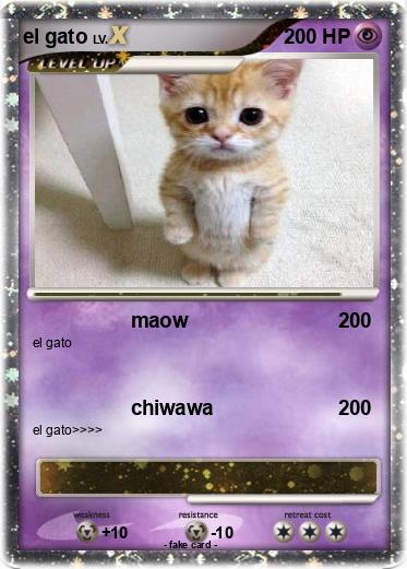 Pokemon el gato