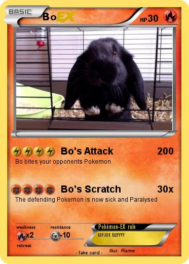 Pokemon Bo