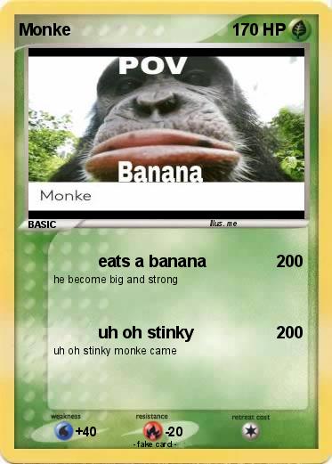 Pokemon Monke