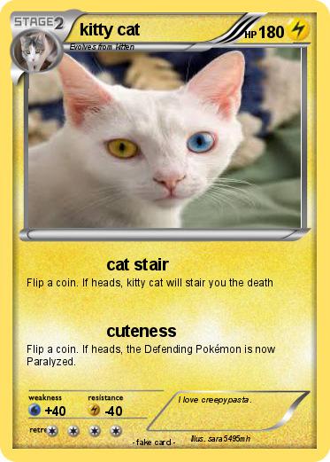 Pokemon kitty cat