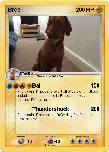 Pokemon Bree