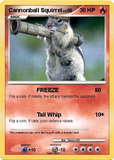 Pokemon Cannonball Squirrel