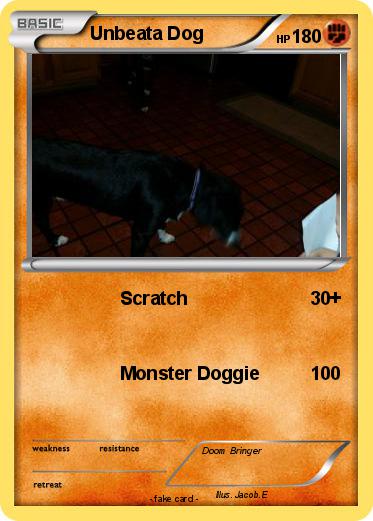 Pokemon Unbeata Dog