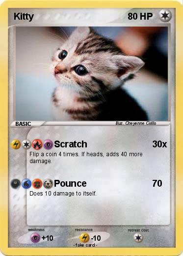 Pokemon Kitty