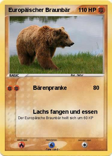 Pokemon Europäischer Braunbär