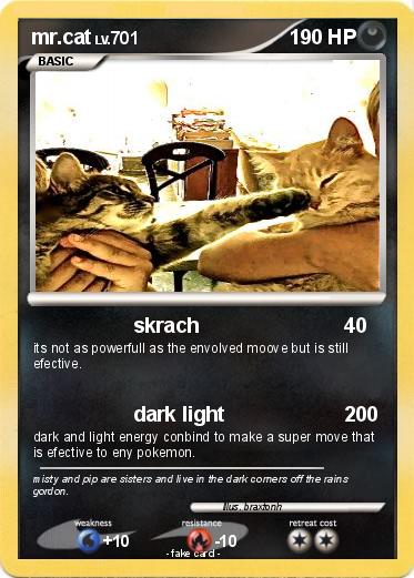 Pokemon mr.cat