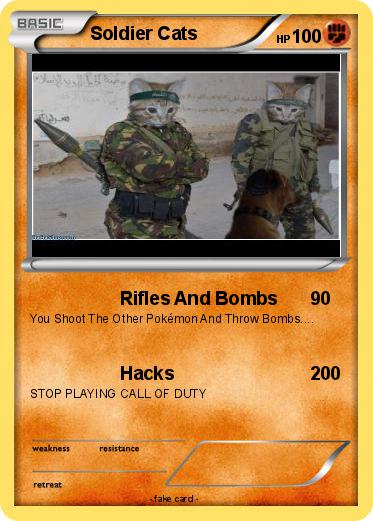 Pokemon Soldier Cats