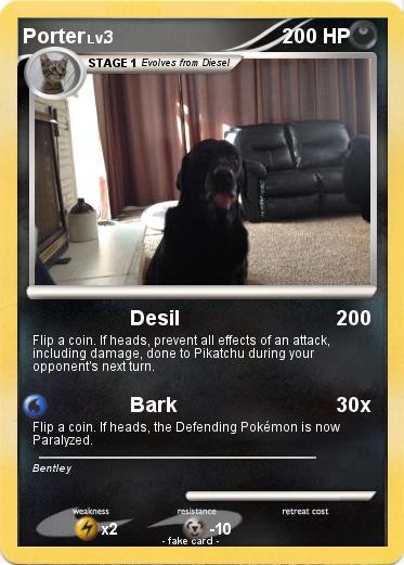 Pokemon Porter