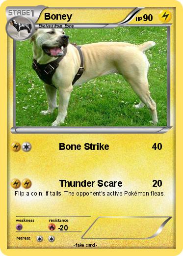 Pokemon Boney