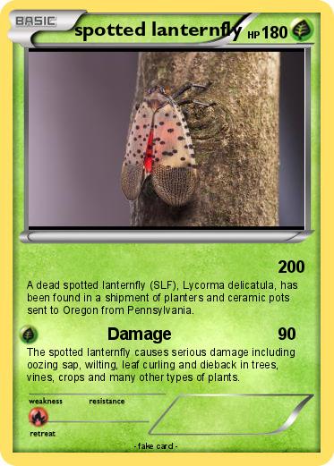 Pokemon spotted lanternfly