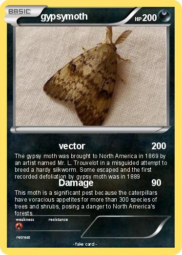 Pokemon gypsymoth