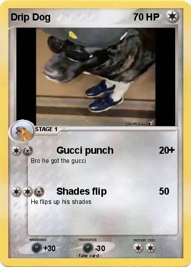 Pokemon Drip Dog