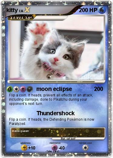 Pokemon kitty