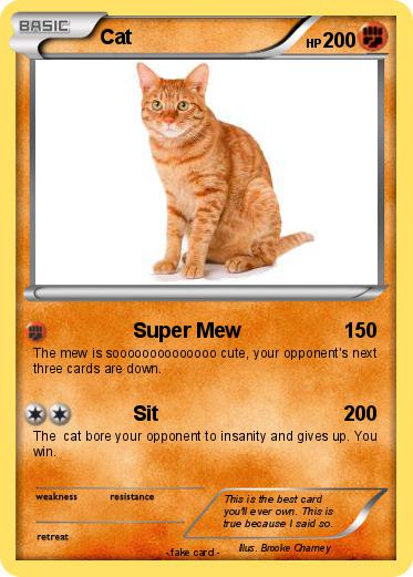 Pokemon Cat