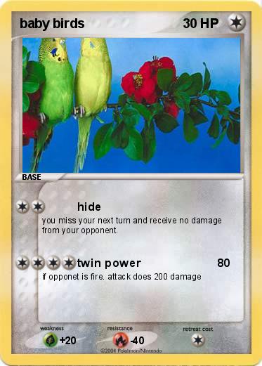 Pokemon baby birds