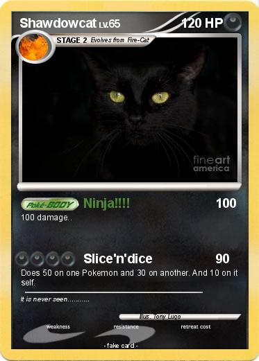 Pokemon Shawdowcat
