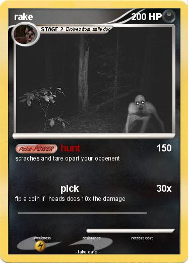 Pokemon rake