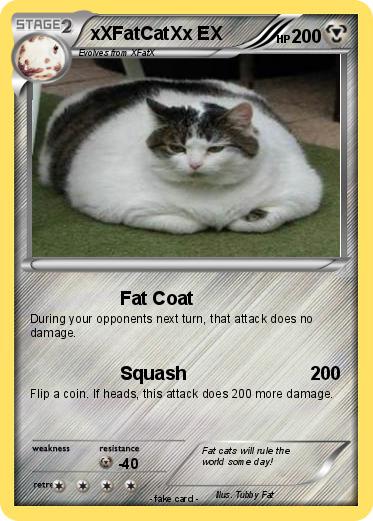 Pokemon xXFatCatXx EX
