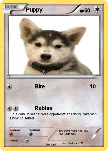 Pokemon Puppy