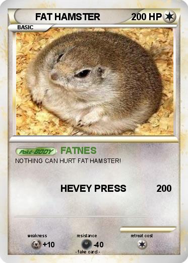 Pokemon FAT HAMSTER