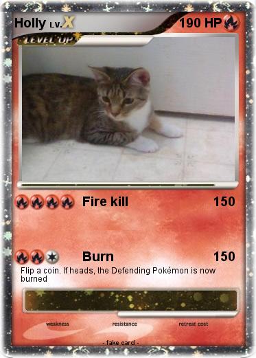 Pokemon Holly