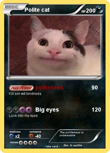 Pokemon Polite cat