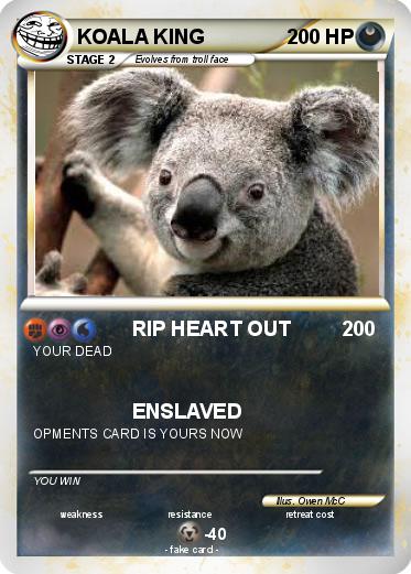 Pokemon KOALA KING