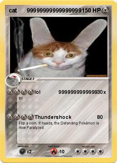 Pokemon cat      99999999999999999