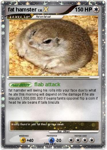 Pokemon fat hamster
