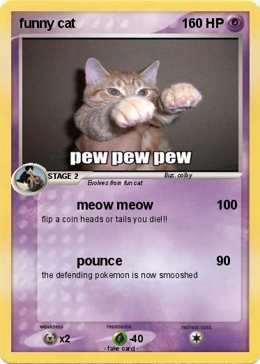 Pokemon funny cat