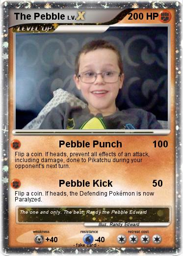 Pokemon The Pebble
