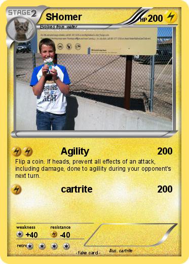 Pokemon SHomer