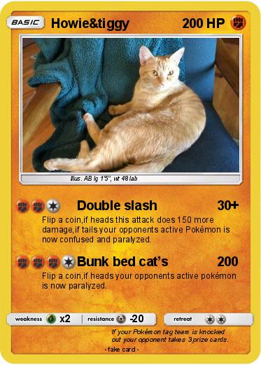 Pokemon Howie&tiggy